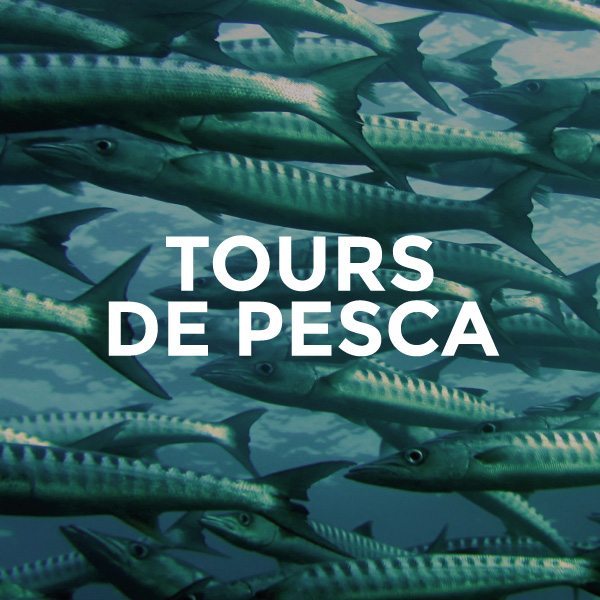 13-tours-excursiones-pesca