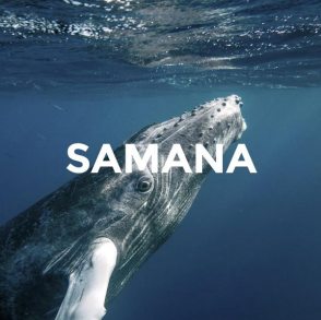 18-samana-prueba