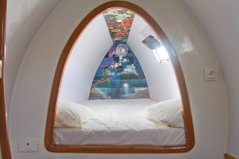 1004708_423536257762997_600618941_n