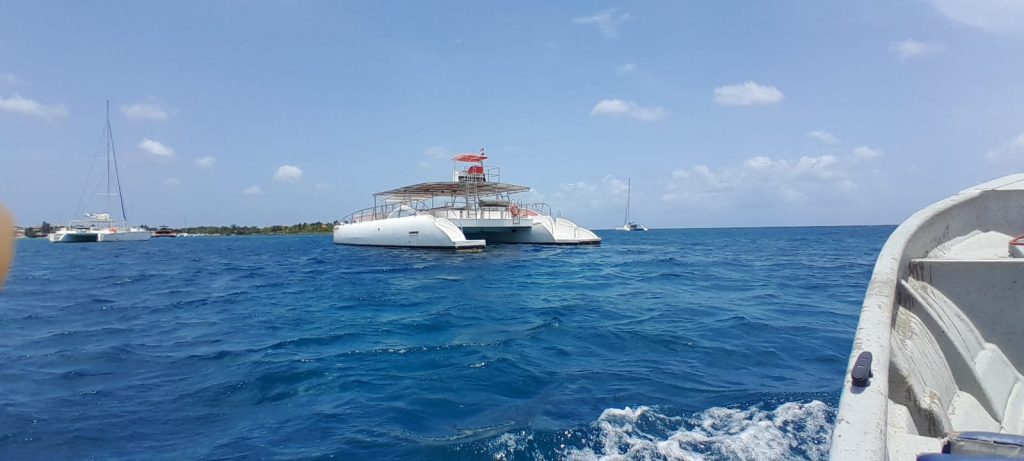 Private Catamaran Trip to Saona from Bayahibe & Casa De Campo