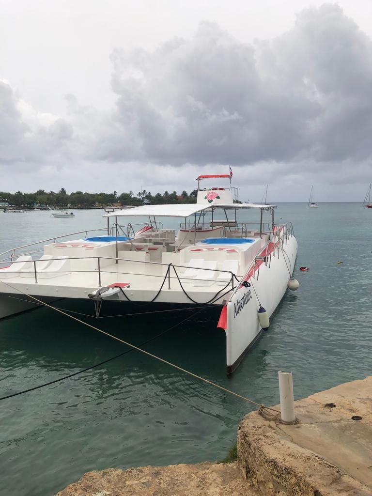 Private Catamaran for Saona in Bayahibe & Casa De Campo