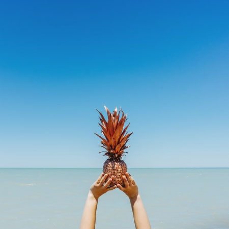 sea-pineapple