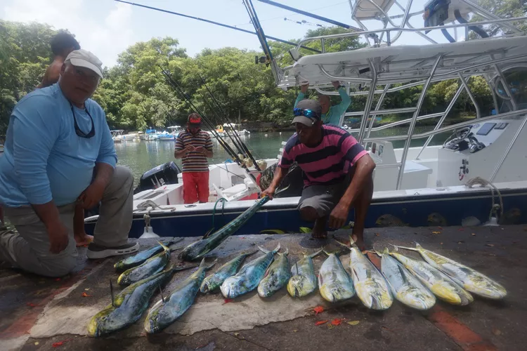 Fishing Excursion Rio San Juan