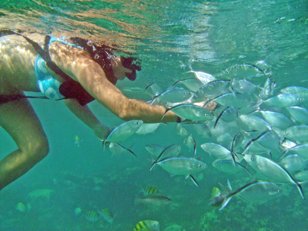 Snorkeling in Punta Cana