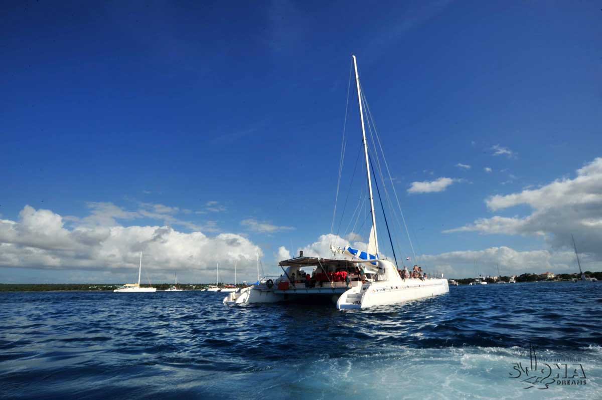 homewannab0a15public_htmlwp-contentuploads201805charter-saona-catamaran-tour-catalina.jpg