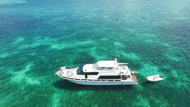 Luxury Motor Yacht Casa de Campo Isla Catalina