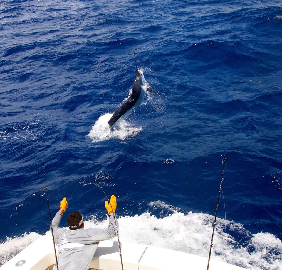 private-fishing-tour-punta-cana