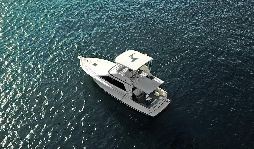 fishing boat trips Palmilla