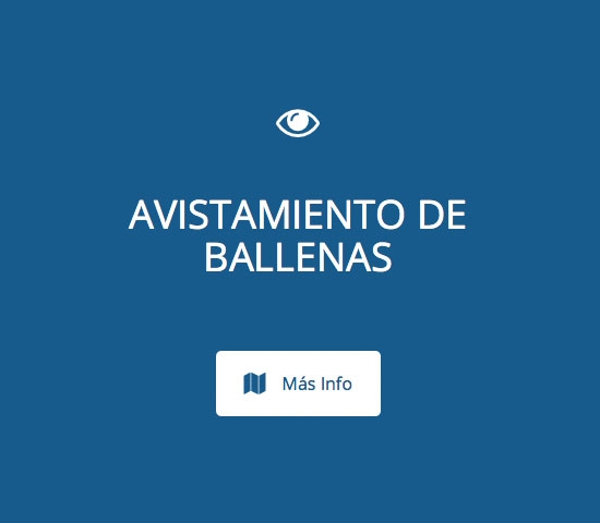 avistamiento-ballenas-samana-sobre-rd