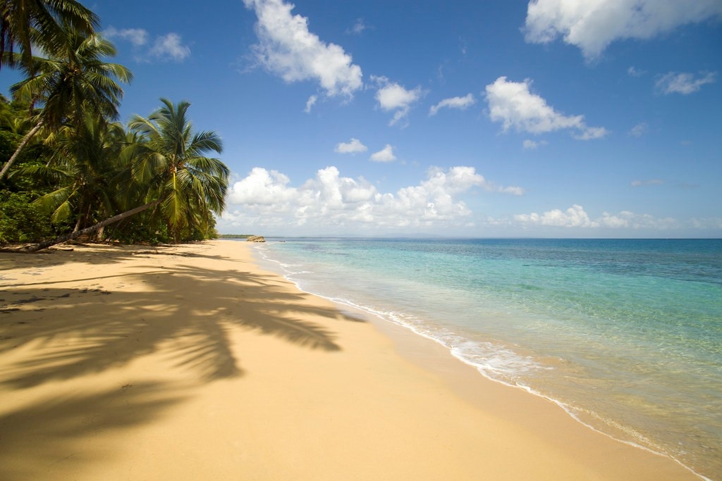 Excursion Playa jackson