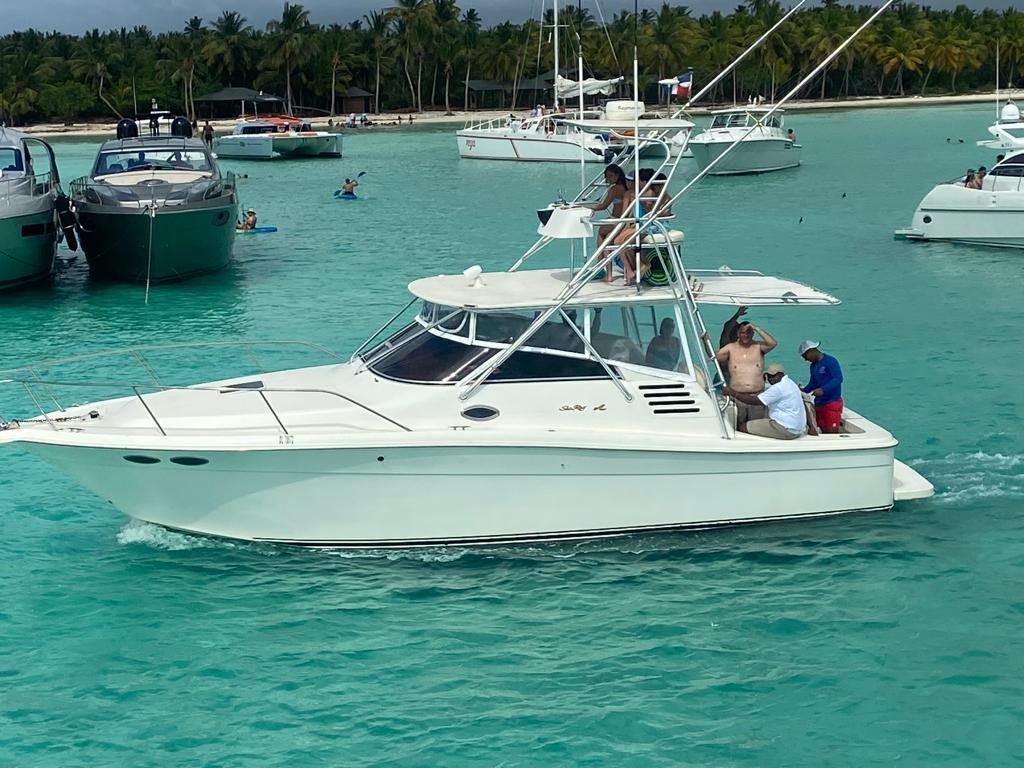 boat for rent private charter to saona
