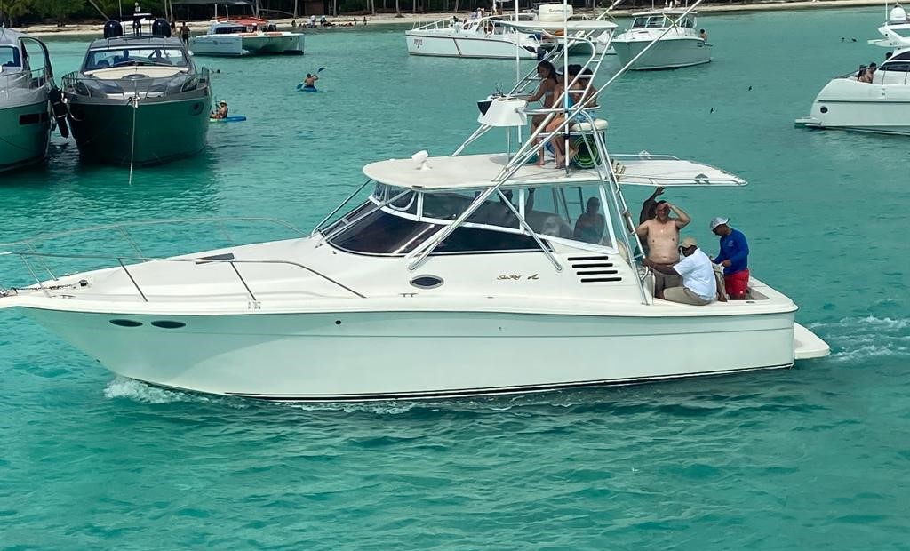 Private Boat Rental To Saona Island, Palmilla, Catalina | WannaBoats