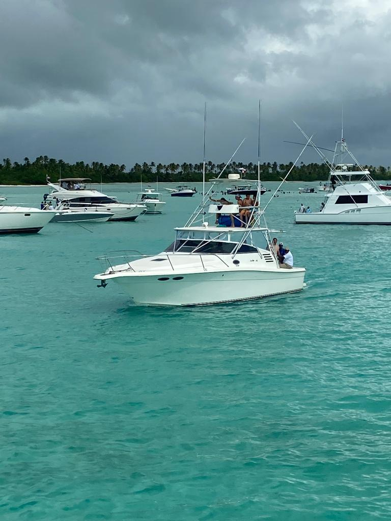 boat rental private charter to saona