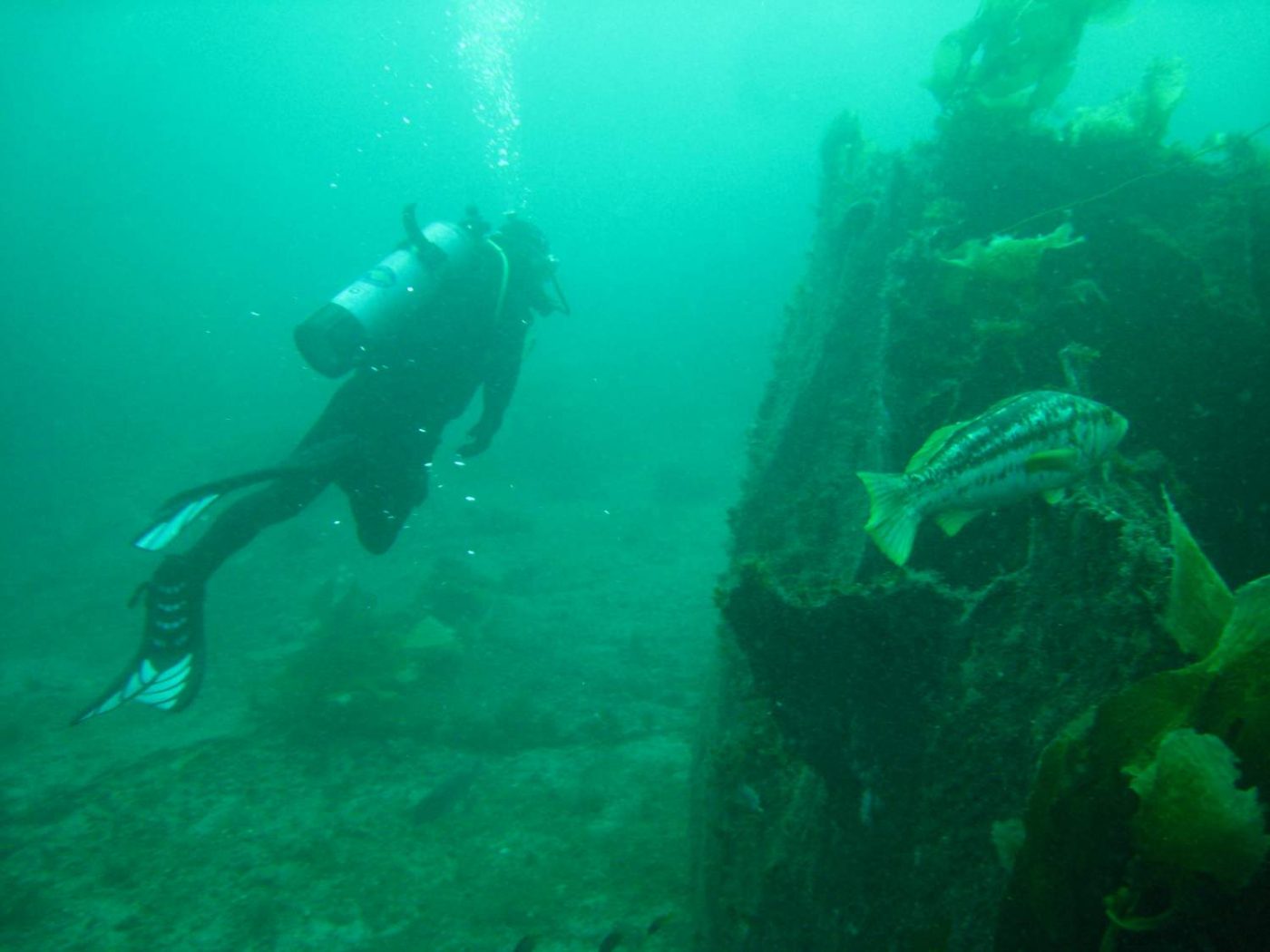 Captain Kidd's Ship is located on Catalina Island | WannaBoats