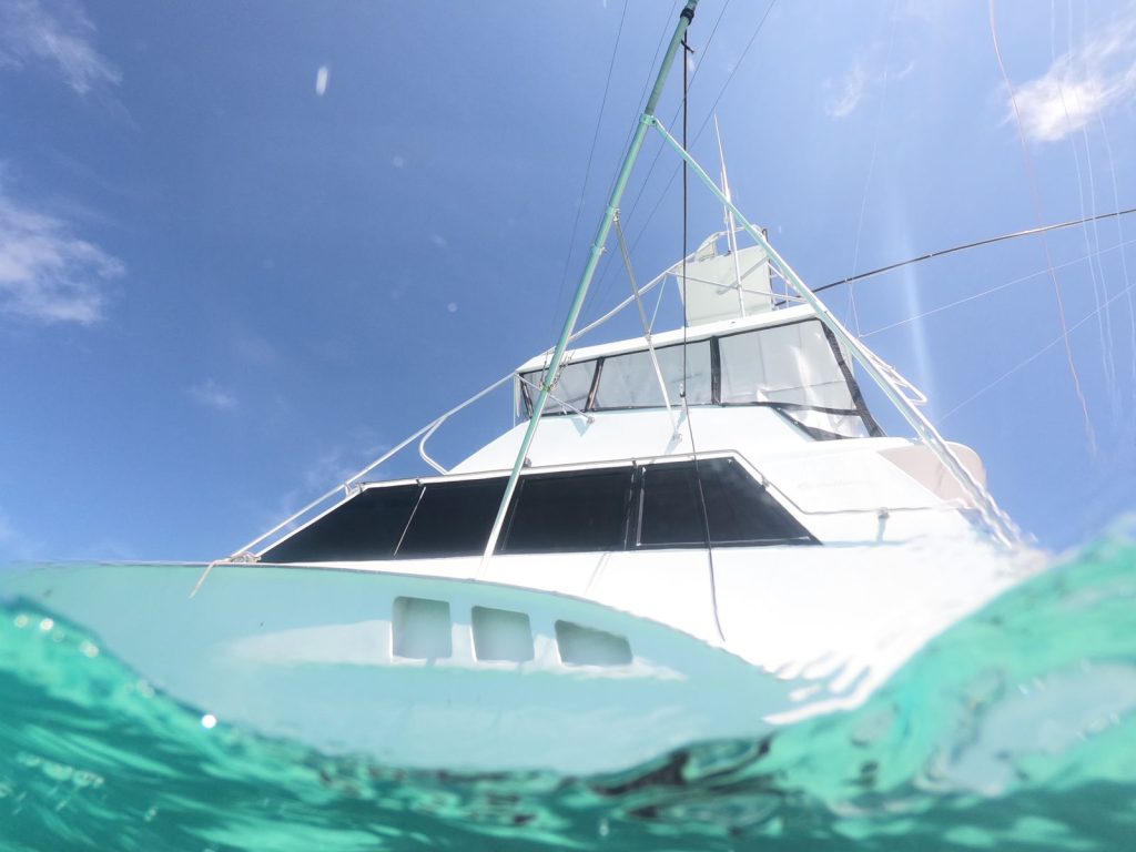Alquiler Barco Privado para Pesca o Paseos en Casa De Campo Catalina o Saona