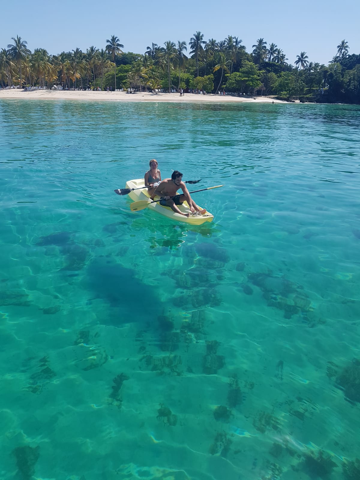 Explore the waters of the Riviera Maya Explore the waters of the Riviera Maya