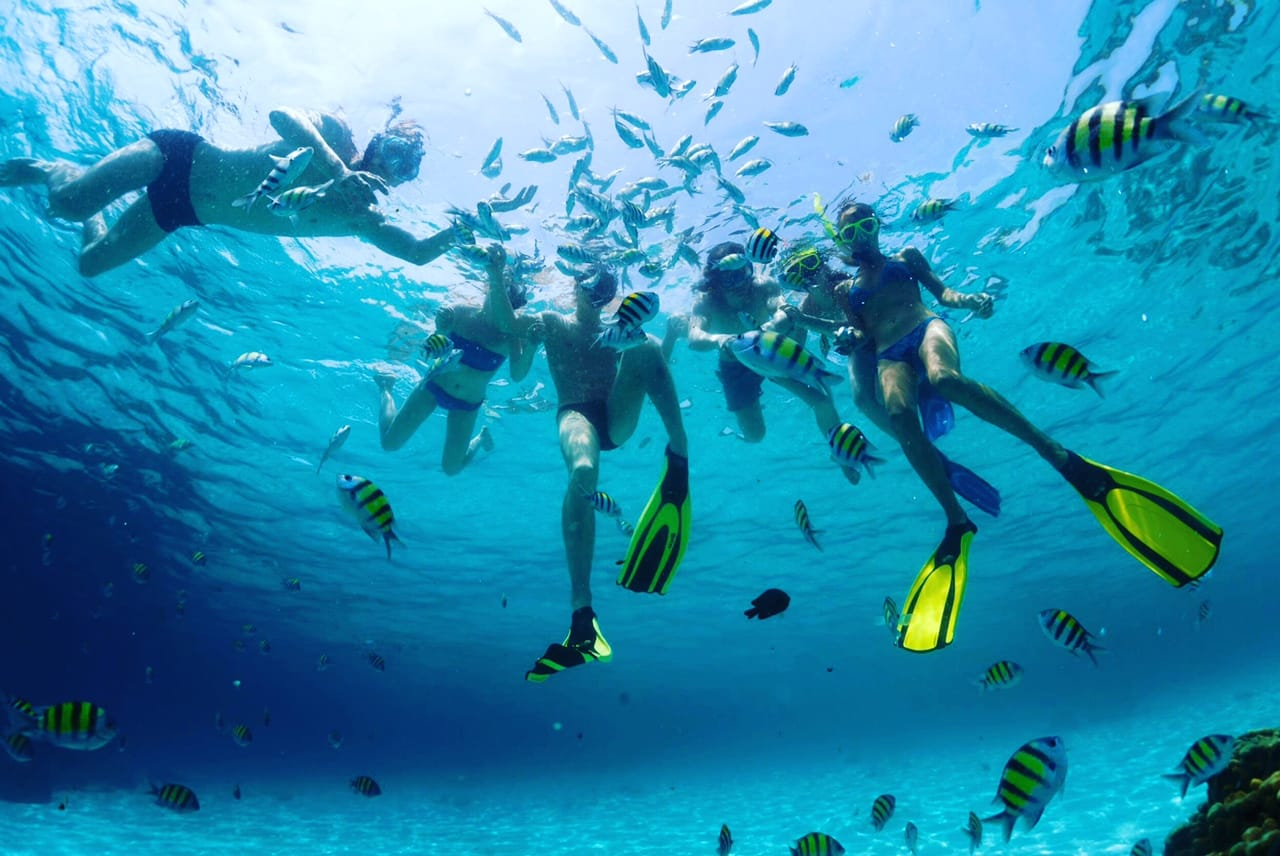 Snorkeling en isla saona