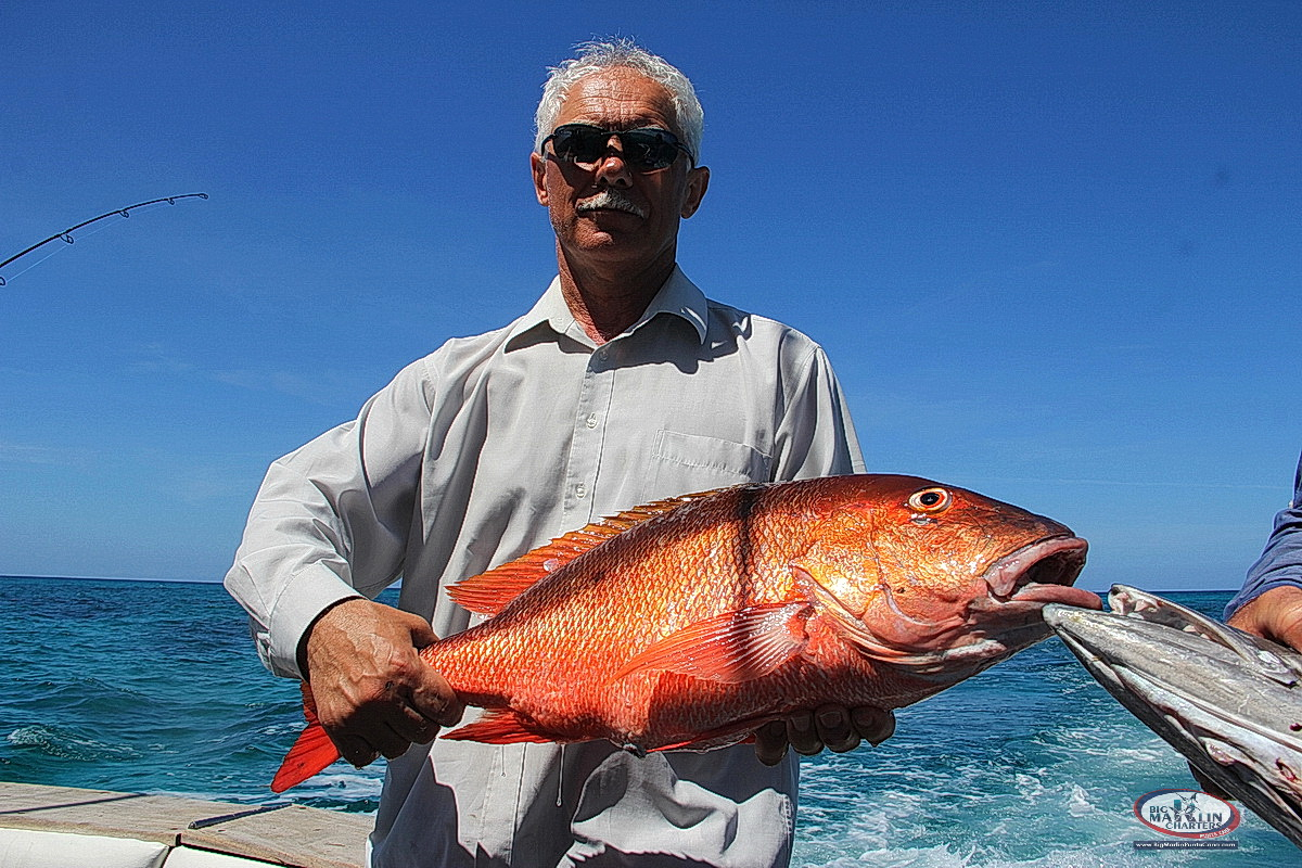 bottom fishing reef charters Punta Cana private boat