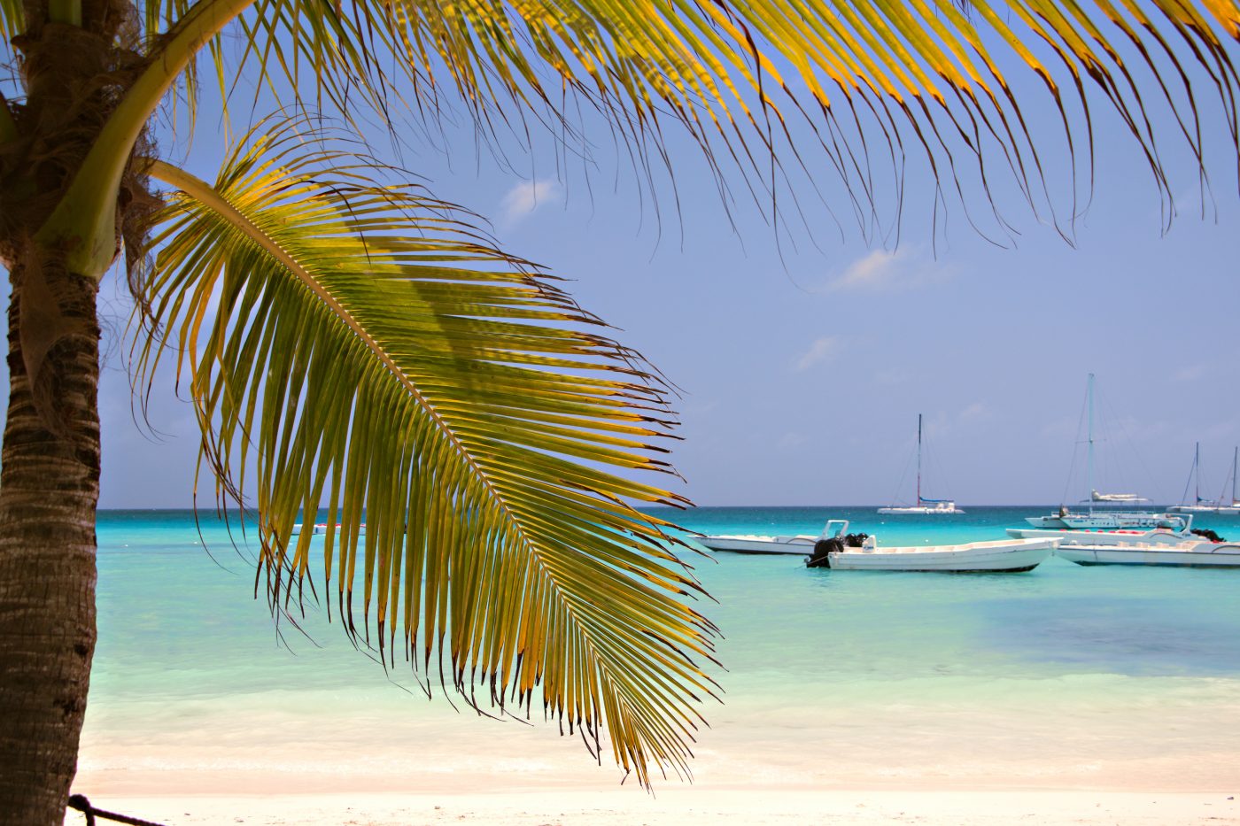 Saona Island Dominicana beach
