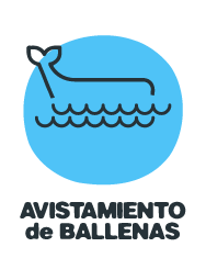 avistamiento-ballenas