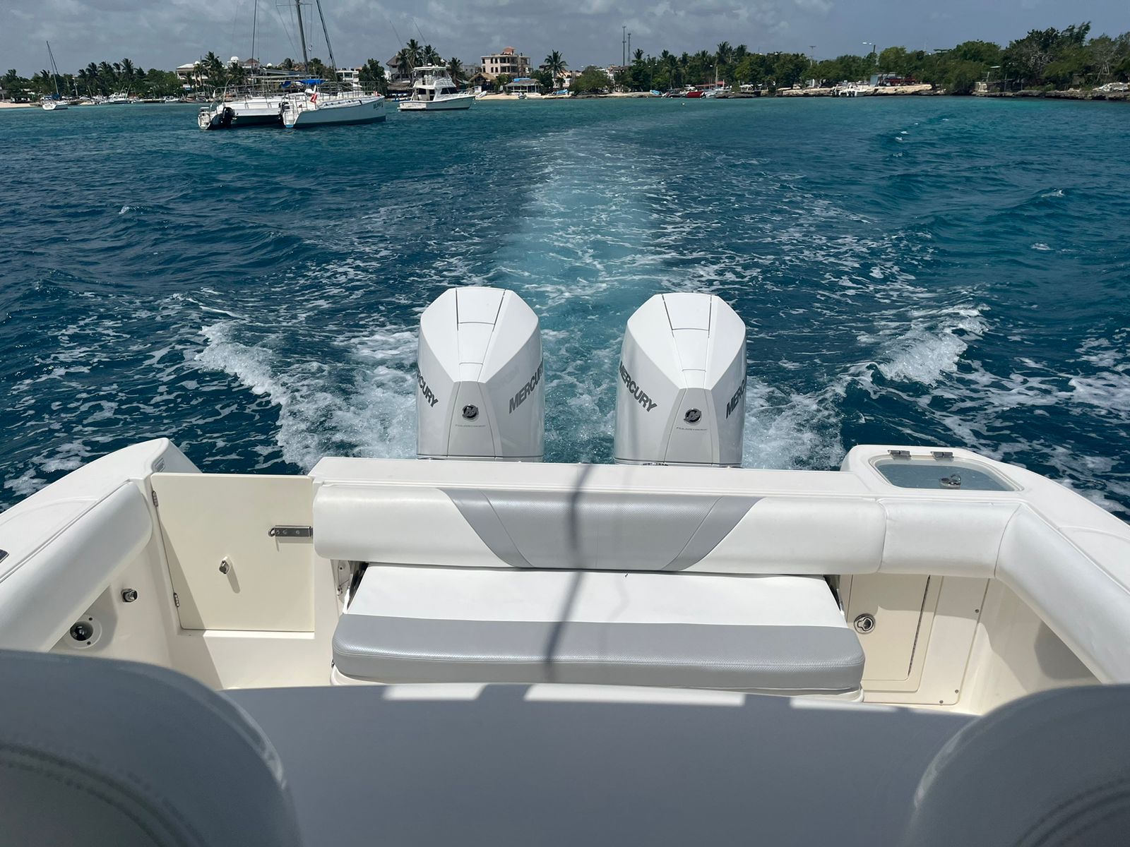7828826323_speedboat_Boston_Whaler_for_Private_Rentals_from_Bayahibe_to_Saona_or_Catalina_islands.jpeg