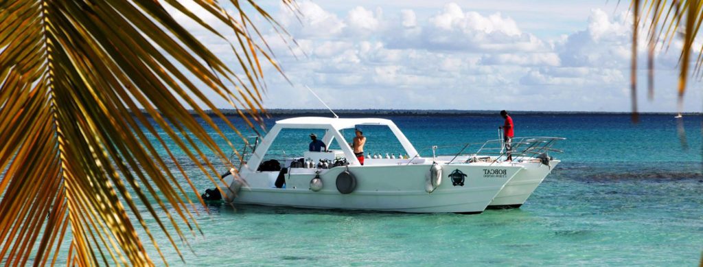 8Saona-or-Catalina-private-tour-Catamaran-scuba-diving-1