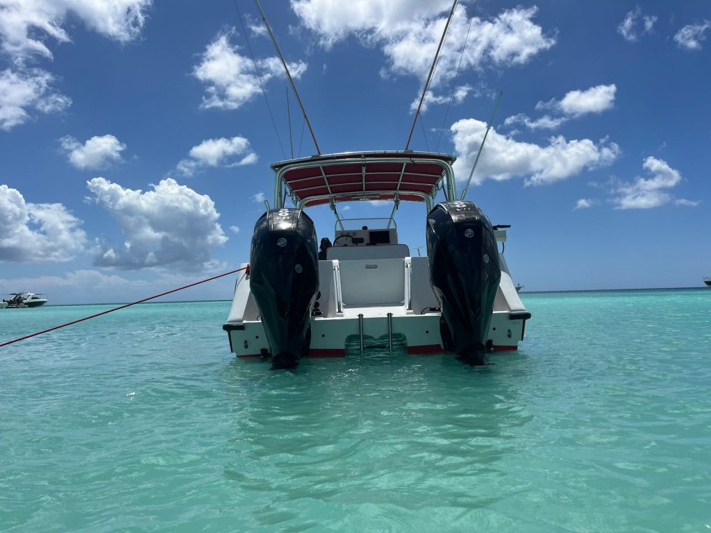 6007250383_Bayahibe_Catamaran_Charter_to_Catalina_island.jpg
